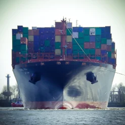 Foto "Bug" HH-22 10x10 - Kila