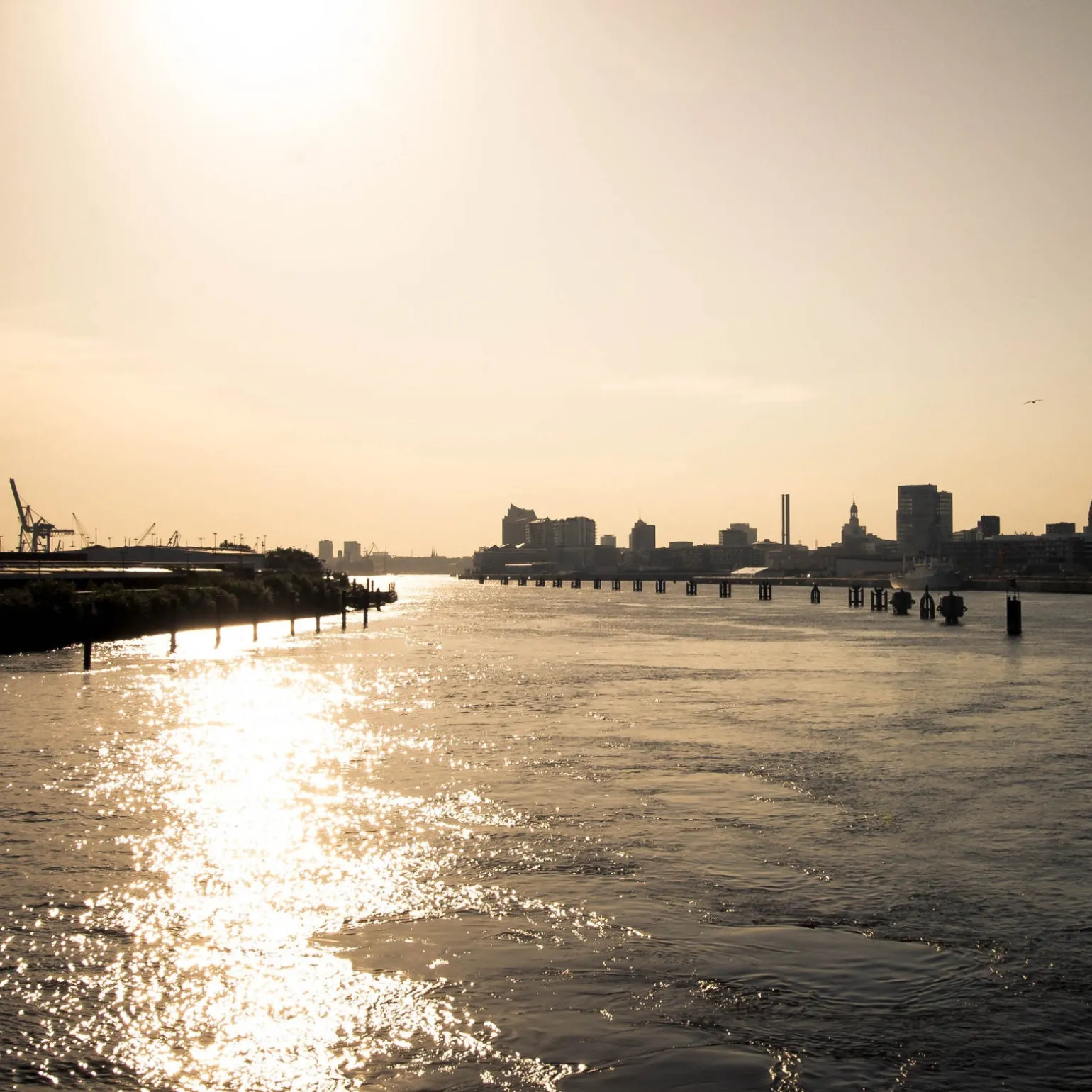 Foto "Sonnenelbe" HH-160 10x10 - Kila