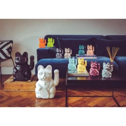 Lucky Cat galaxy - donkey products